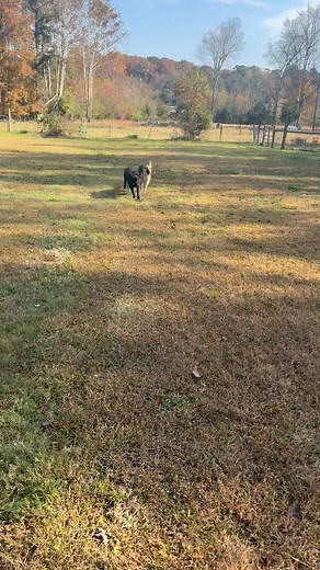 1.3K views · 17 reactions | Morning shenanigans ❤️❤️ | Kim Michelle | Facebook