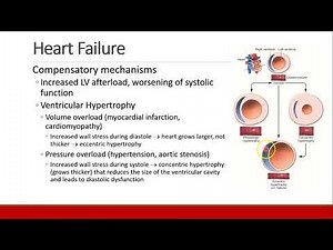Applied Physiology for Anesthesia - 02 - CARDIAC - Part 4