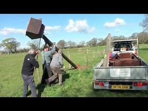 How to put up a barn owl box in a field: The experts.