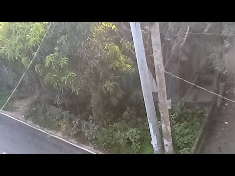 7 april CCTV VIDEO | cctv | footages | security | news | home | how | to | capture |