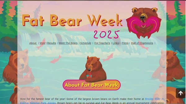 Extra 'thicc' and ready to win; Alaska's bears compete in annual Fat Bear Week