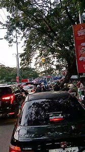 Bumper to Bumper | Sky Villa