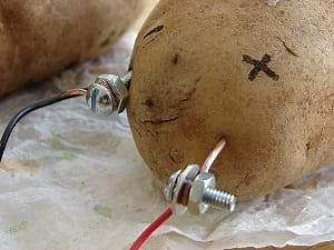 Potato Power - Activity