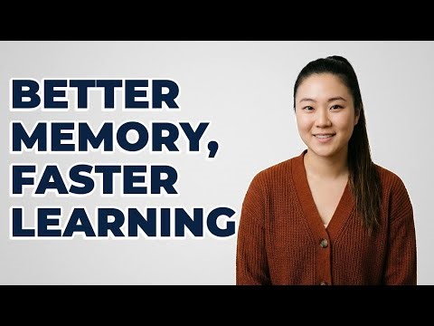 How Do Memory Basics Improve My Study Process?