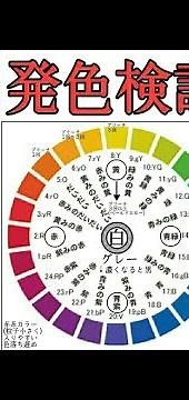 ティントバー【インディゴブルー発色】茶髪、ブリーチ１回、３回