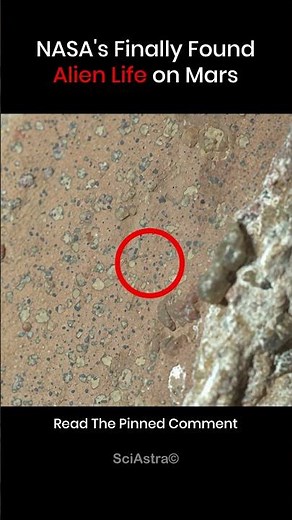 NASA Just Found Proof of Life on Mars?