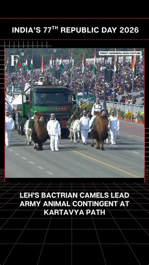 Firstpost on Instagram: "#FirstpostNews: Leh’s Bactrian Camels Lead Army Animal Contingent at Kartavya Path Leh’s Bactrian camels are leading the Indian Army’s animal contingent along Kartavya Path, showcasing India’s high-altitude military capability at the Republic Day parade. For the first time, the Army is presenting a specially curated animal contingent of the Remount and Veterinary Corps (RVC), highlighting the critical role animals play in guarding some of the country’s most challenging f