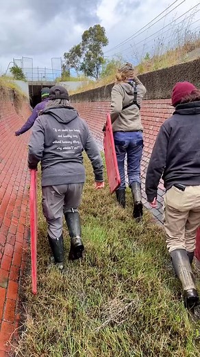 This video captures the moment our team rescued two baby goats from an underground sewerage drain. ❤️ These two lucky kid goats were first spied five weeks ago by a kind-hearted dog walker when he was walking along a trail that ran by the side of the disused drain. We’re not sure how the little ones came to be there, or how they navigated their way down the steep sides and survived for so long, but with their inability to escape, combined with a lack of fresh water, their future looked bleak. We