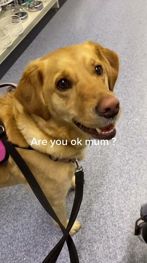 Shopping with May: My Little Life Saver