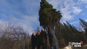 4.7K views · 77 reactions | Global’s Eilish Bonang is in Christmas...