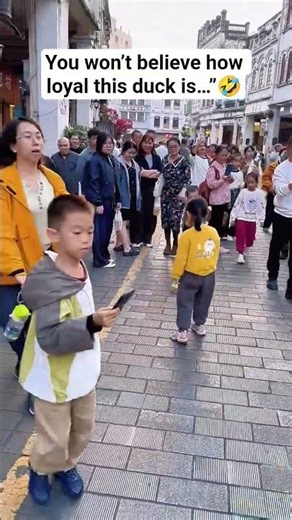 Cute Duck Follows Its Owner Everywhere 🦆💛