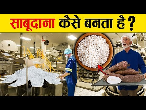 See how Sabudana is made | Sabudana Making Process | How it's made Sago | Tapioca Making Process