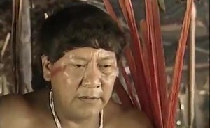 Indians in Brazil: The First Contacts