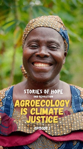 Landworkers’ Alliance on Instagram: "Ep.1 Agroecology Is Climate Justice 🌍 🎥 In Episode One of ‘Stories of Hope and Revolution’, Jyoti Fernandes heads deep into the Niger Delta to meet farmers in one of the most polluted landscapes on earth. For 50 years, the Ogoni people have been on the frontline of the climate justice movement, as they work to recover their lands and livelihoods from the ecological devastation wrought by fossil fuel companies extracting oil in the region. To c
