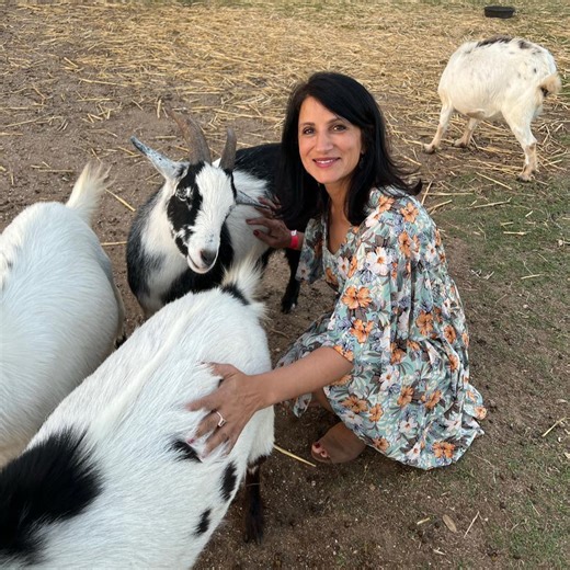 4 ingredient frozen Peach lemonade 1. 2 cups sliced frozen peaches ( remove skin before freezing) 2. 1/4 cup honey 3. 1/2 cup lemon juice 4. 1/2 cup water (add more water or ice if needed for texture) 5. Optional ingredients: 4 oz RUM 1. Remove skin of 2-3 peaches. Slice and freeze. 2. To a blender add : frozen peach slices, honey , lemon juice and water. 3. Blend until smooth or your desired consistency. 4. Add a bit of water as needed to a consistency you like. 5. Add Rum or any alcohol to mak