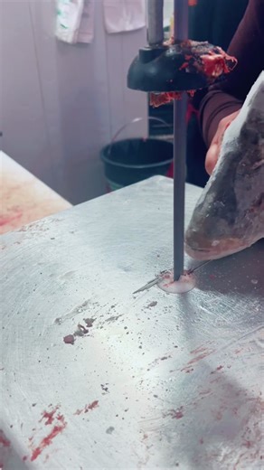 Fish Preparation Techniques for Culinary Enthusiasts