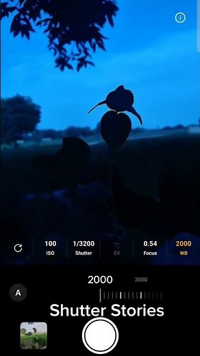 Mobile Photography Pro Mode | Street Photography Shots