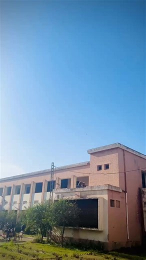 Evening College Life: Dreams and Memories