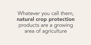 Whether you call them ‘biologicals’, ‘biocontrol’ or ‘biopesticides’, #cropprotection products derived from fermentation, microbes, pheromones, predatory insects, mites and fungi are a growing area of #agriculture where R&D is thriving #PreparingTheGround https://croplife.org/wp-content/uploads/2018/08/Why-are-Biologicals-Important_2.pdf | CropLife Europe