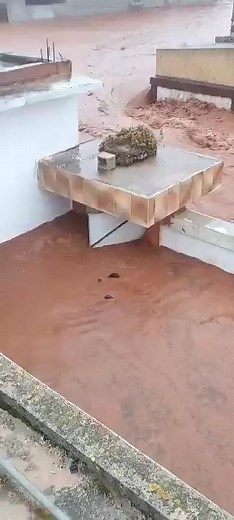 ‏بنغازي الان ان شاء لله خير