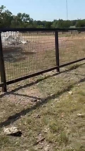 Check our welded wire fence installation. They offer sturdiness and appeal. Perfect for your ranch and home. Request your free quote! https://amgfencebuildersllc.com/contact | AMG Fence & Builders LLC