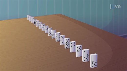 ビデオ: 数学的帰納法