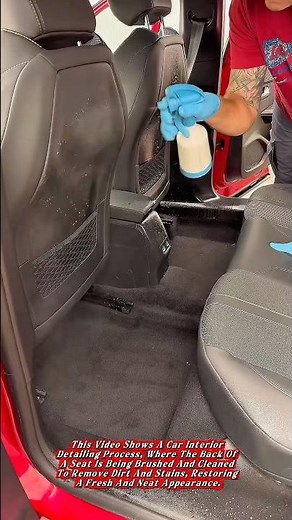 Car Seat Back Cleaning and Interior Detailing