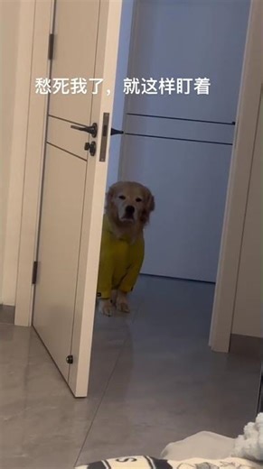 本来答应带77去农村吃酒席的，一觉醒来12点了，来不及了干脆继续睡觉