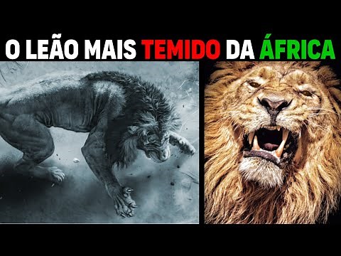 Lion - SEKEKAMA THE STRONGEST LION IN AFRICA (COMPLETE STORY)