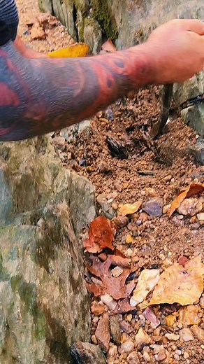 Getting that bedrock gold #gold #goldpanning #goldprospecting #goldprospector #goldrush #goldfever #goldpaydirt #goldnugget #goldnuggets #goldmining #Bedrock #bedrockminecraft #minecraft #treasure #treasurehunt #minerals #mineral | FishnGold