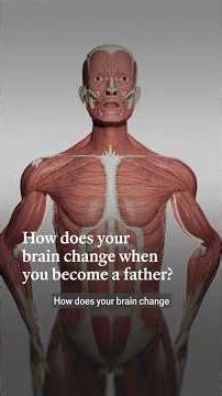 How does your brain change when you become a father? | The Economist