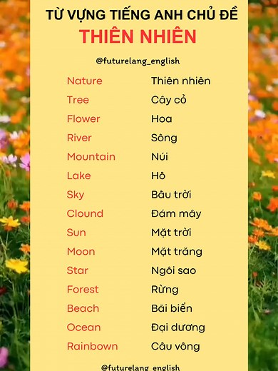 Từ vựng tiếng Anh về thiên nhiên | futurelang