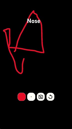 Right hand vs left hand vs nose vs feet