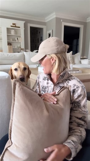 LIVING WITH LANDYN on Instagram: "a little @homegoods living room refresh ✨ here’s what I found and why it ended up my 🛒🪴"