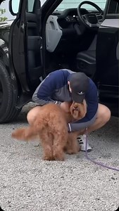 It’s the tail wag for us 🐶 #cominghome 🎥: @oakleydoodlegram | Old Dominion