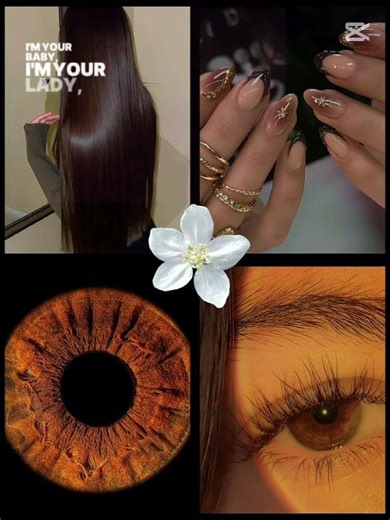 🍁🥀🌼🫎🐆🦫🌿🍂