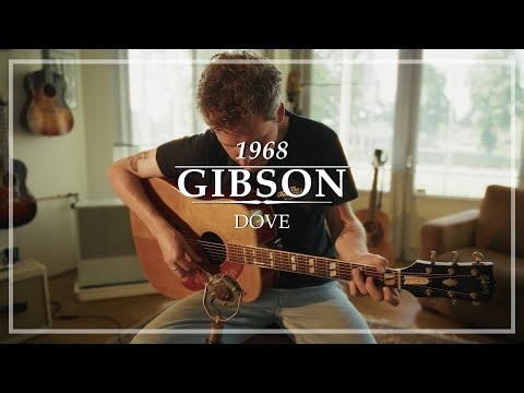 Gibson Dove 1968 played by Milo Groenhuijzen | Demo