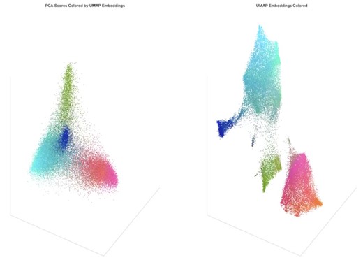 #pacifichem #acs150 #umap #patternrecognition #classification #matlab #python | Barry M. Wise