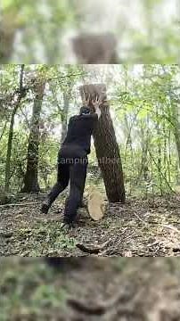 Building a Secret Shelter Hidden in the Forest (Part 1) | Bushcraft & Wilderness Survival