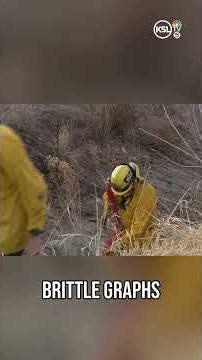Brush fire in Spanish Fork is 'suspicious,' city says
