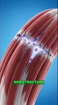 The Secret of Cellular Regeneration: How Your Body Heals Itself in 3D #animation #science