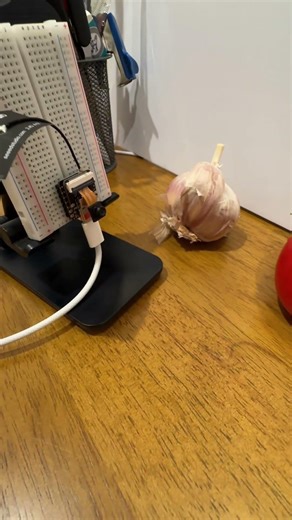 Machine learning: Training vision AI on ESP32 #dogilab