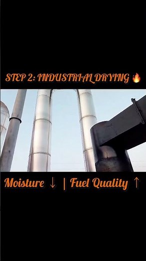 How Industrial Biomass Drying Works 🔥 | Reduce Moisture & Improve Fuel Quality