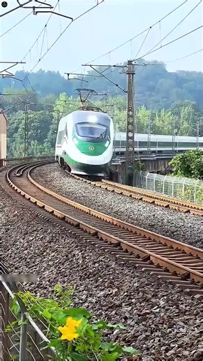 Top Facts & Knowledge