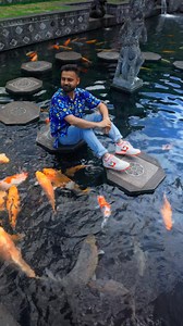 Safe travels and enjoy your Bali Adventure Credits by : @khan_isa #Bali #ubud #Canggu #finsbeach #Kuta #Seminyak #Uluwatu #Holiday #Australia #baliholiday #indonesia #Aussie #balizoo #balitravel #BaliTours # #Nikibalitours #ubud #waterfall #Nikibali #india | Niki Bali Tours