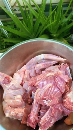 you can't go wrong with BBQ rabbit meat and catfish #food #rabbit #grill #catfish