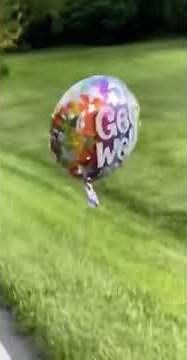 Balloon tied to dead raccoon says: "Get well soon"