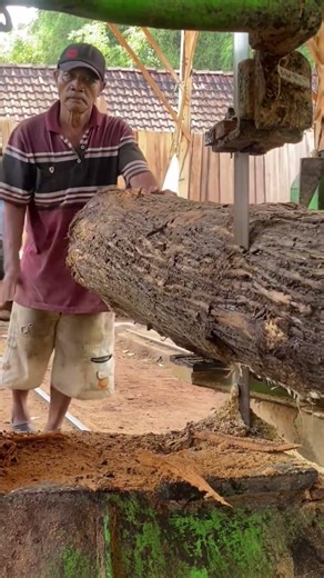 Amazing Log Processing Machine ⚙️ #shorts #woodcutting #oddlysatisfying #woodworking