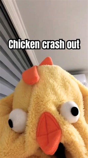 Chicken crash out
