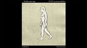 Τα 550 εκατομμύρια χρόνια της ανθρώπινης εξέλιξης